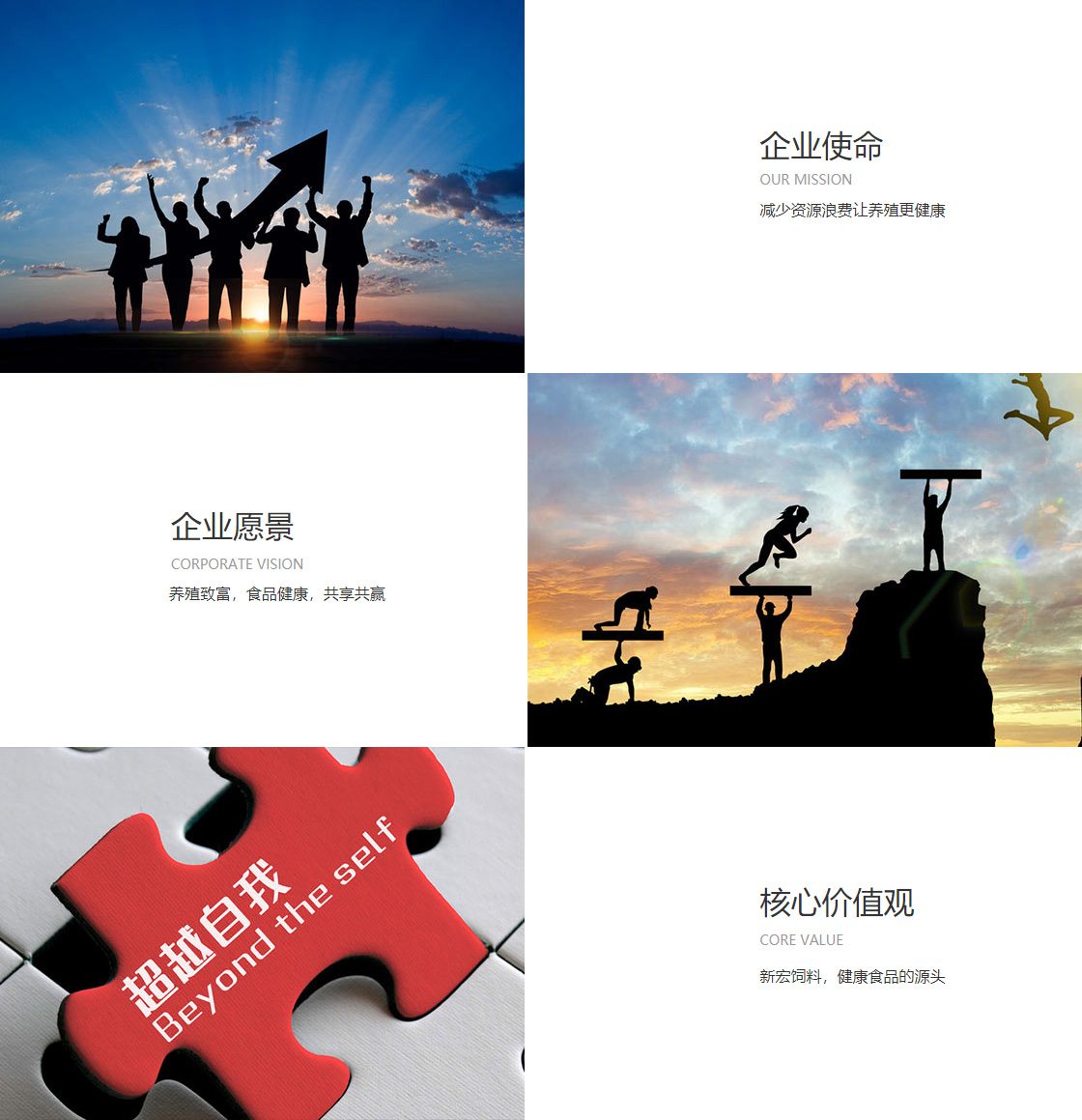 爱游戏网页版(图1)